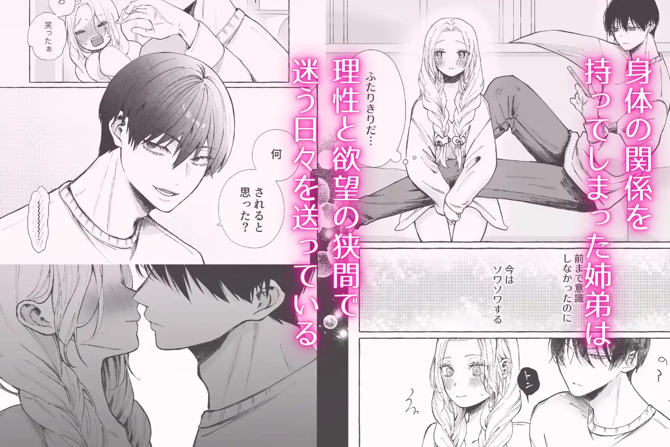 姉弟だけど挿れなければえっちじゃないよね2 サンプル画像1