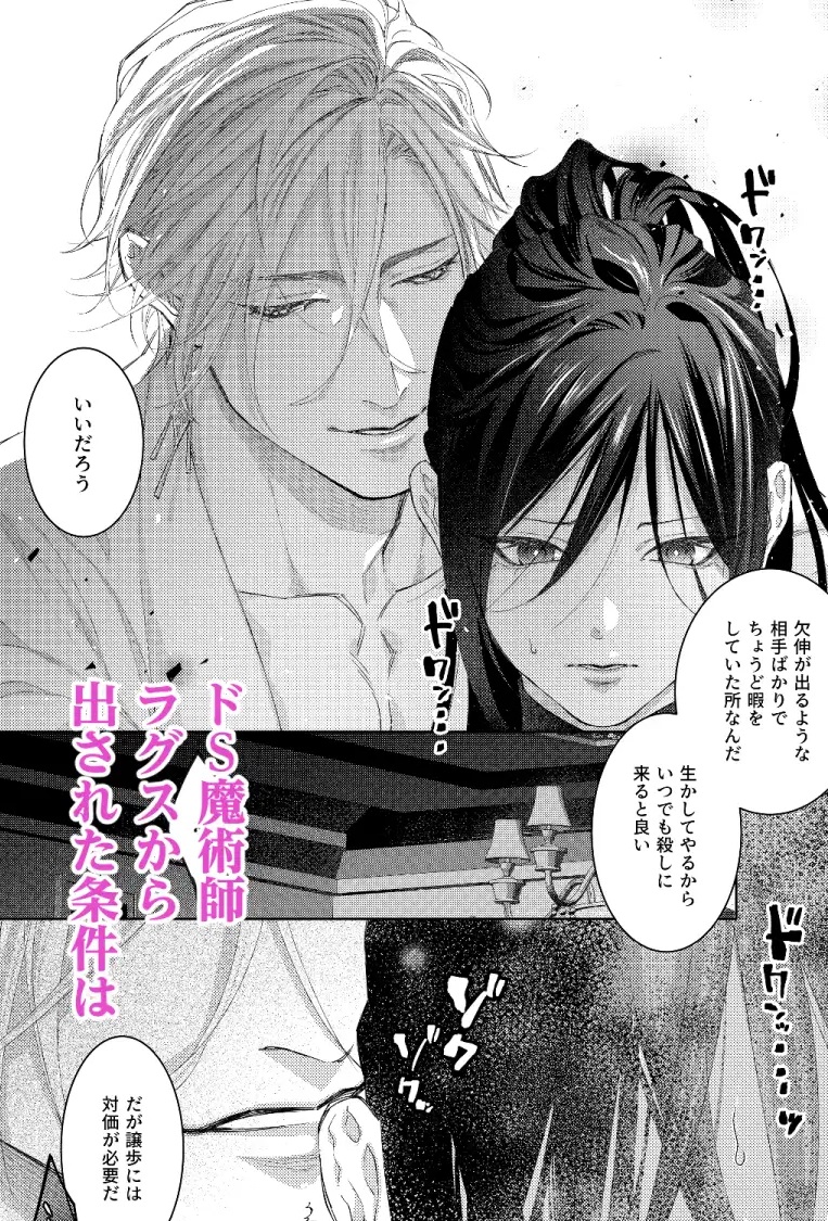 殺者は執着魔術師を殺せない ～ドS魔術師の強○中出しで淫紋発情セックス～ サンプル画像3
