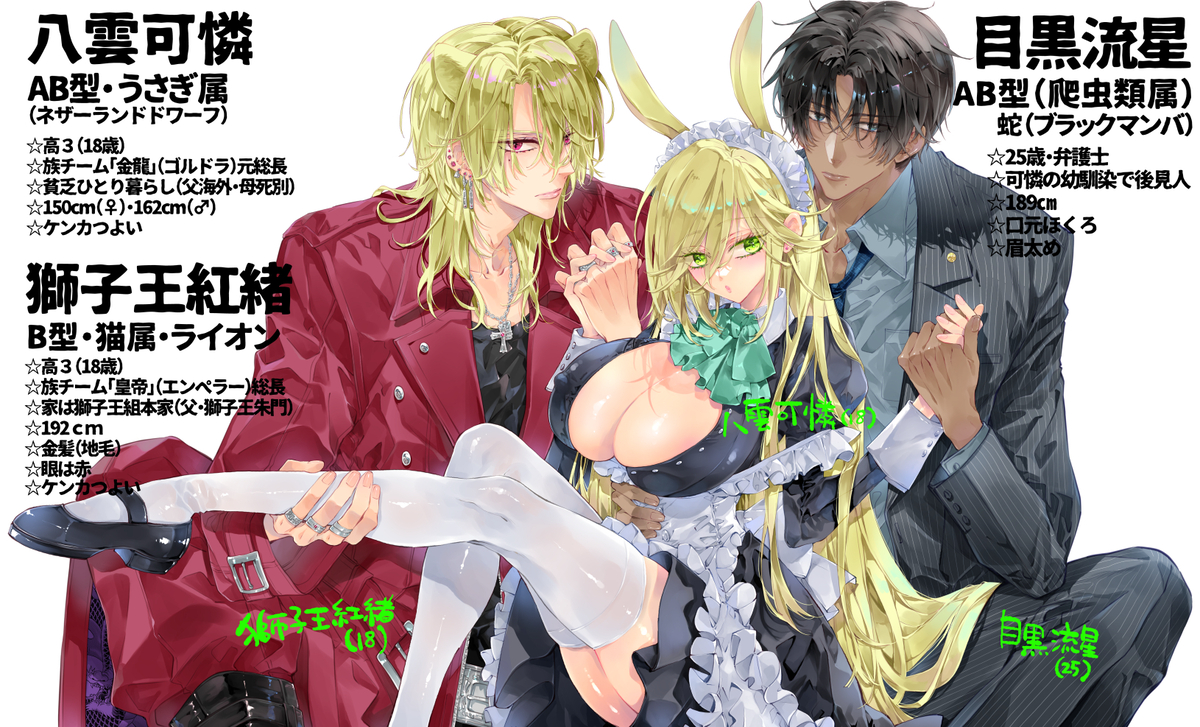 ターシャリトランスストレンジ*絶世の美女(元ヤン総長)が絶世の美男×2(敵対チーム総長)+(幼馴染)に執着溺愛される話 サンプル画像1